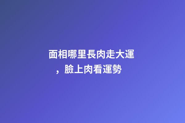 面相哪里長肉走大運，臉上肉看運勢